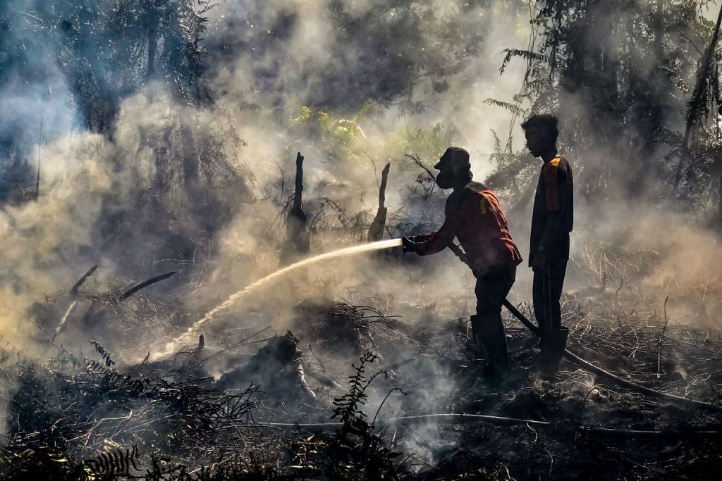 kebakaran hutan di indonesia  Hutan  Amazon semakin hangus Berita Wacana BeritaHarian sg