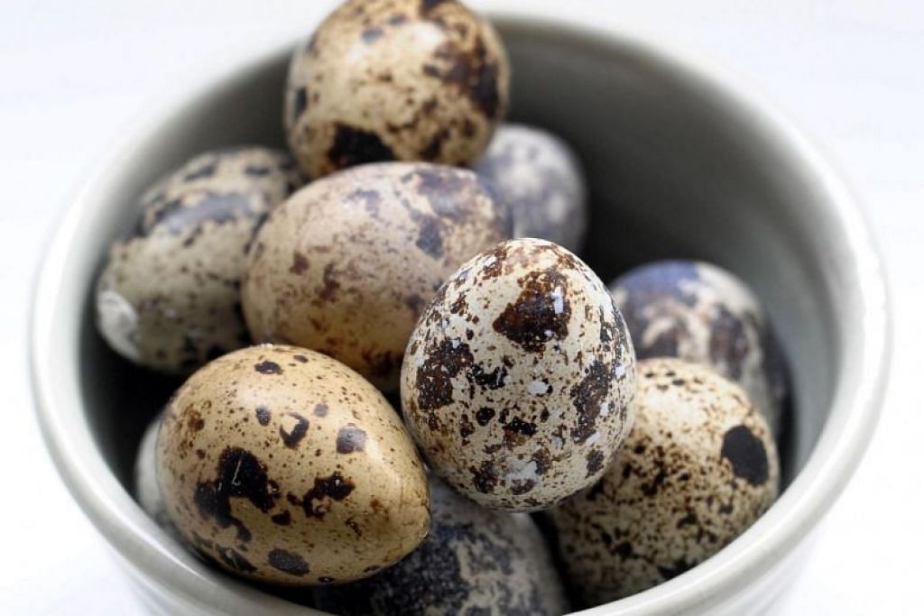 Import telur burung puyuh  dari Malaysia dihenti Berita 
