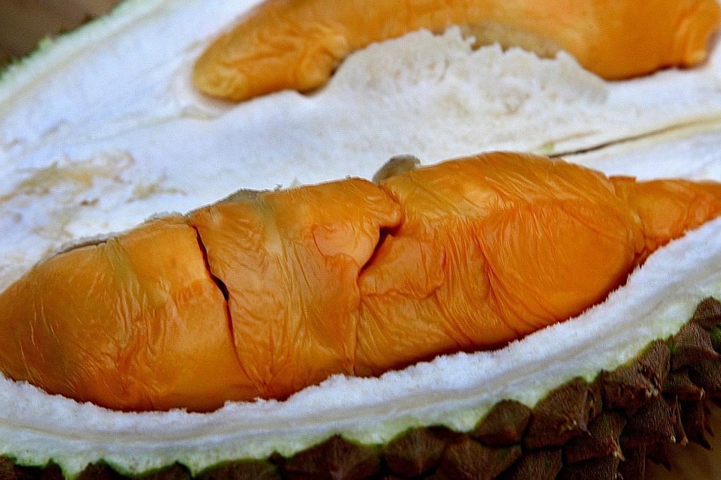 Seronok sambut Raya masa musim durian Durian... lain nama, lain rasa