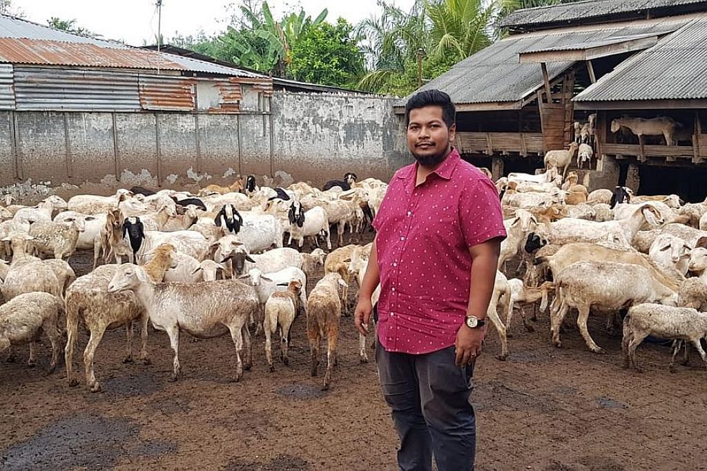 Peniaga ternak kambing mekar di M'sia, Indonesia