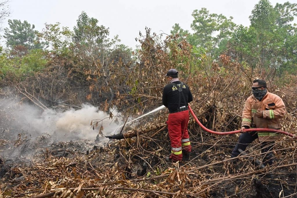 Indonesia tutup ladang dikendali sekitar 30 syarikat yang sebabkan kebakaran hutan