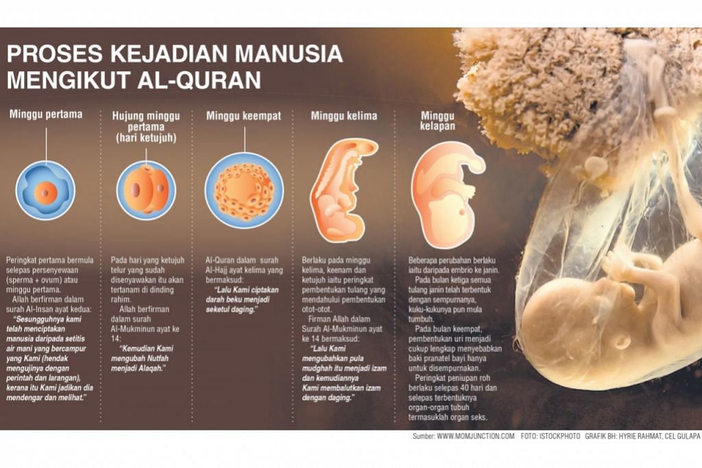 Manusia Ciptaan Hebat Allah Berita Hidayah Beritaharian Sg