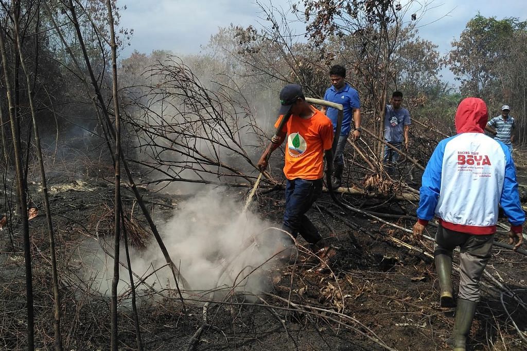 Riau, Sumatera Selatan isytihar darurat akibat kebakaran hutan