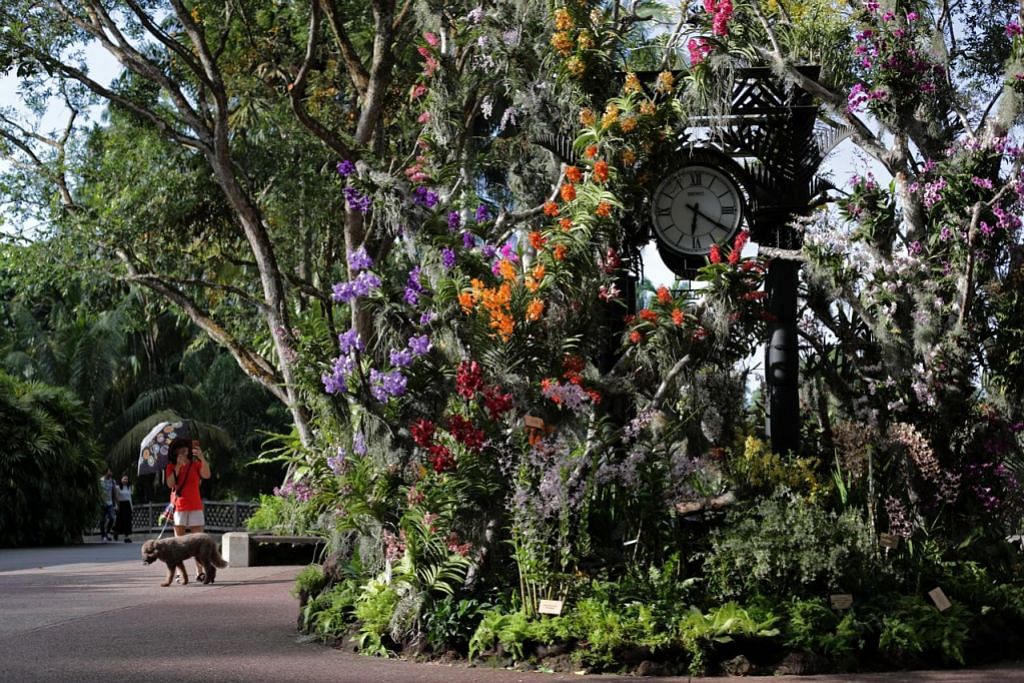 Konsert maya rai ulang tahun ke-5 Kebun Bunga SG sebagai tapak warisan Unesco