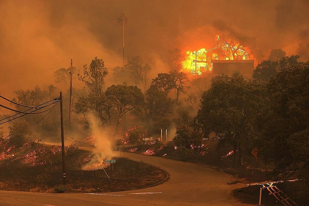 Kebakaran hutan landa California akibat ribut petir