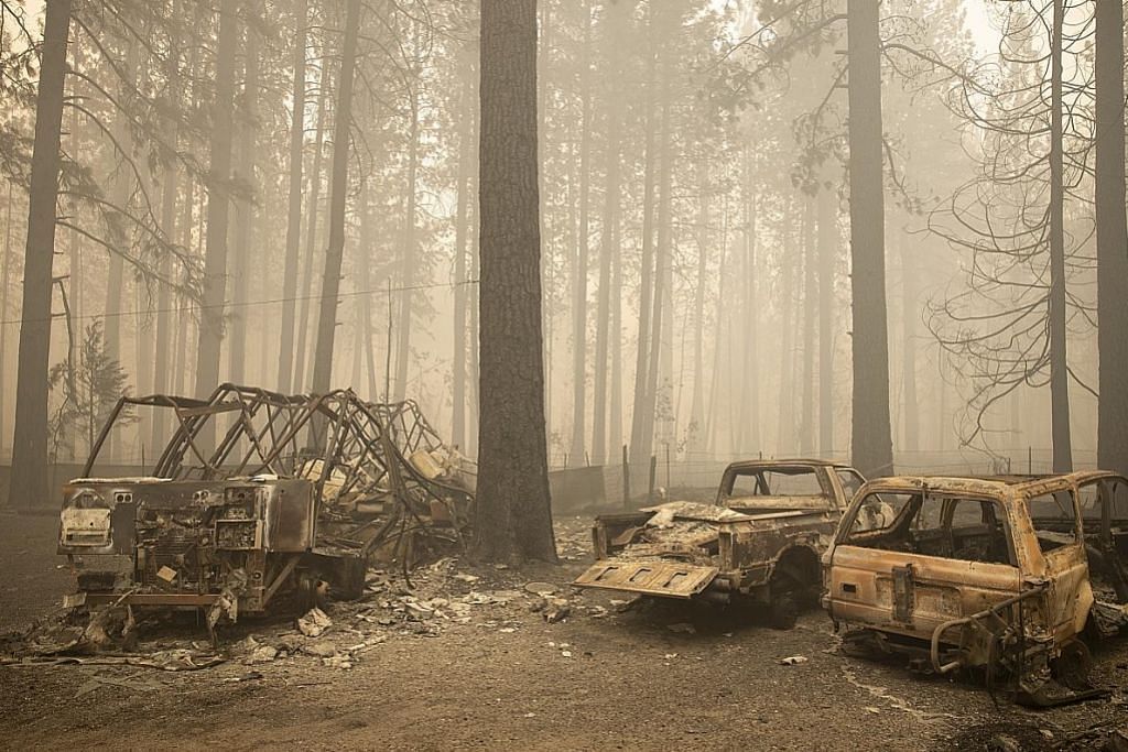 Pantai barat Amerika terjejas teruk kebakaran hutan