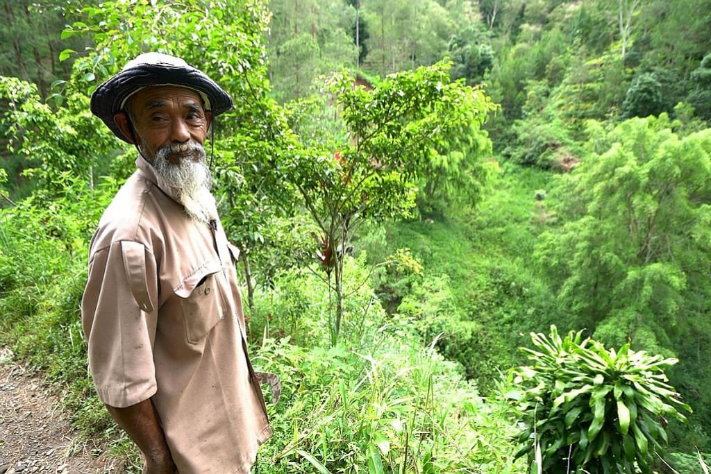 'Mbah' di Jawa ubah bukit gersang jadi menghijau selepas 24 tahun berusaha