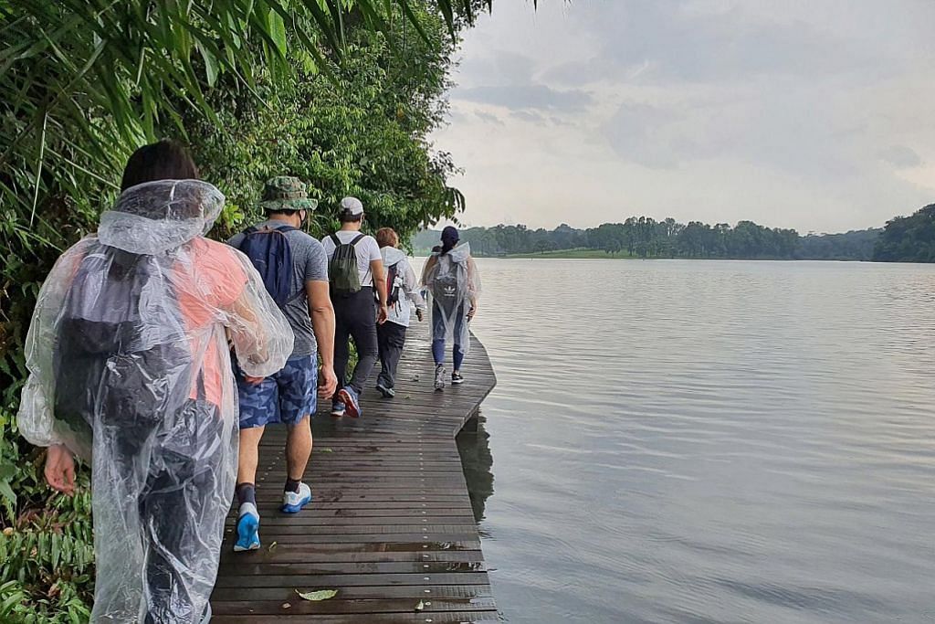 Alam semula jadi SG diancam hobi 'trekking'