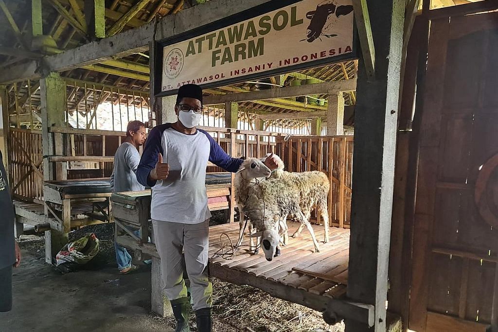 Ternak kambing di Jawa permudah ibadah korban