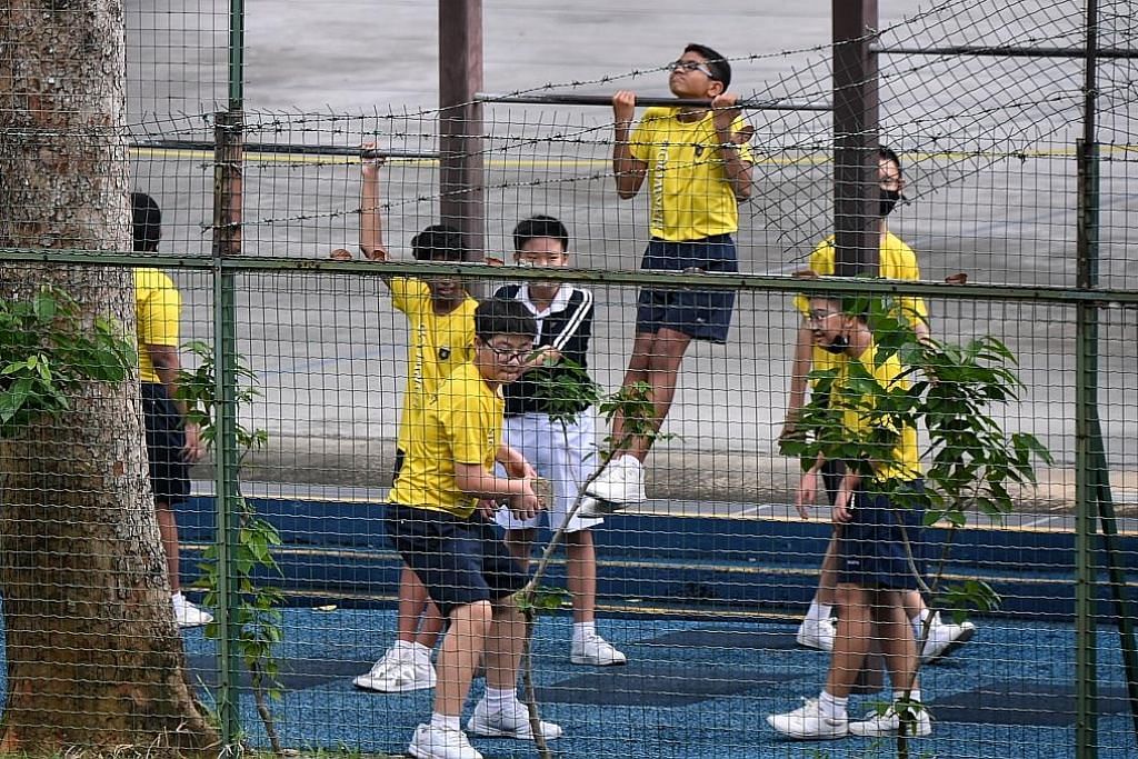 Moh Berenang Berlari Antara Kegiatan Fizikal Harus Dielak Lepas Vaksin Berita Setempat Beritaharian Sg