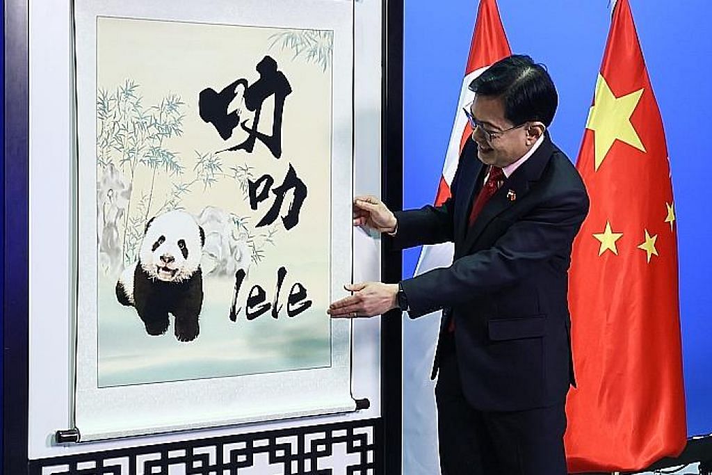 Le Le dipilih sebagai nama panda cilik yang lahir di SG...