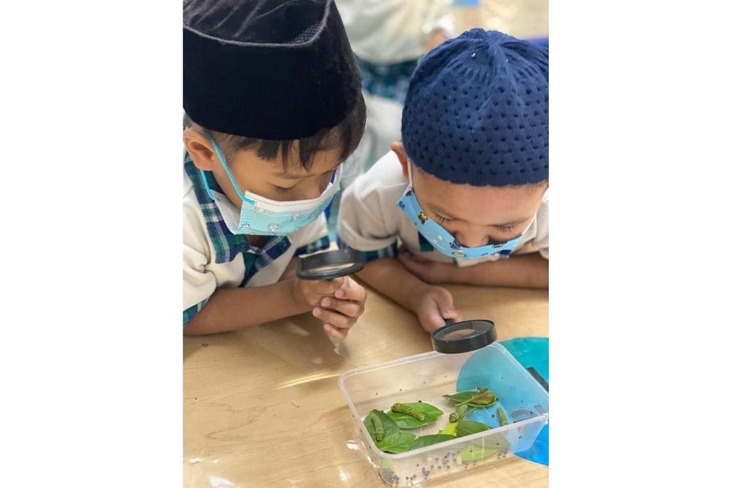 MEMERHATI CIPTAAN ALLAH: Kanak-kanak tadika Masjid Darul Makmur mempelajari tentang kitaran hidup rama-rama. – Foto MASJID DARUL MAKMUR