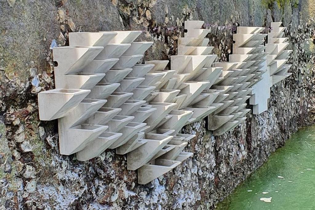 TEMBOK LAUT: Jubin yang direka khas untuk membentuk tembok laut yang terdiri daripada 26 kolam batu berbentuk baji dalam pelbagai dimensi untuk menyokong hidupan laut. - Foto ihsan PETER TODD