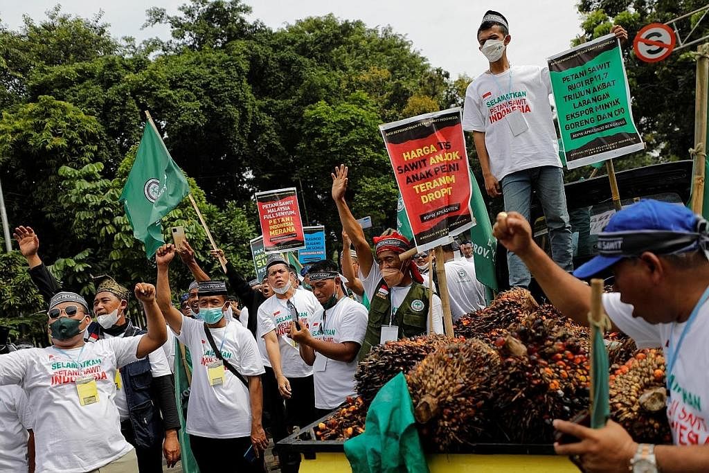BANTAH EKSPORT MINYAK SAWIT: Petani kelapa sawit Indonesia mengambil bahagian dalam satu bantahan yang menuntut pemerintah menamatkan larangan eksport minyak sawit, di luar pejabat Kementerian Penyelarasan Ehwal Ekonomi, di Jakarta, Indonesia, semala