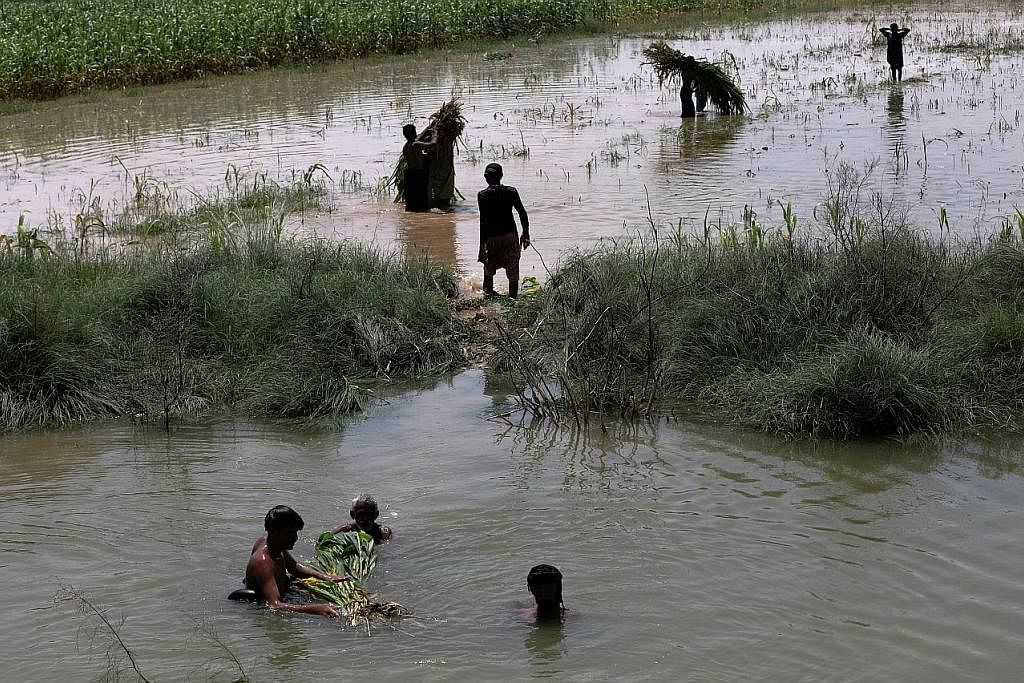 TANAMAN MUSNAH: Peladang berusaha menyelamatkan tanaman mereka daripada arus banjir yang melanda wilayah Mehar, Pakistan. - Foto REUTERS BANTU MANGSA: Pegawai bertugas menghulurkan bungkusan makanan kepada mangsa banjir yang berteduh di khemah sement