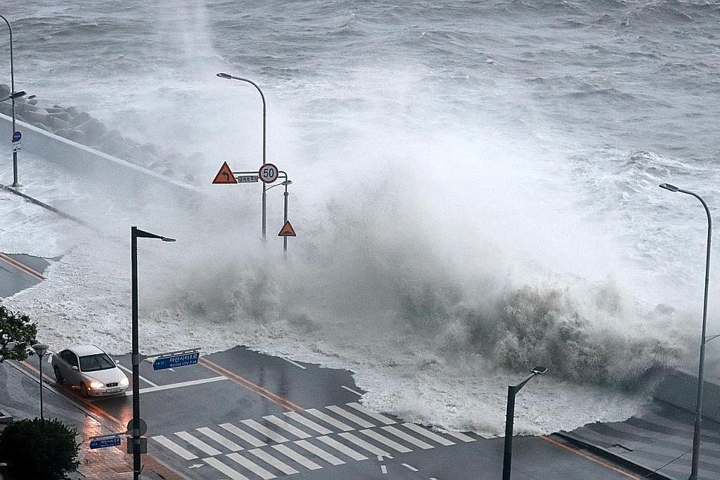 RIBUT PALING KUAT: Ombak kelihatan melanda kawasan pantai di Busan, Korea Selatan. Ribut itu dikatakan paling kuat melanda negara itu dalam tempoh beberapa tahun. - Foto REUTERS