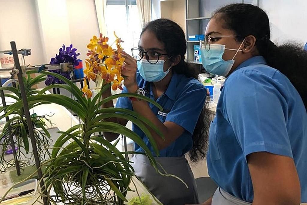 PELAJARI SPESIES ORKID: Pelajar mempelajari tentang spesies orkid yang berbeza sebelum mencuba proses hibrid. SEDIAKAN MAKAN: Hasil tanaman pelajar disiapkan sebelum digoreng untuk santapan.
