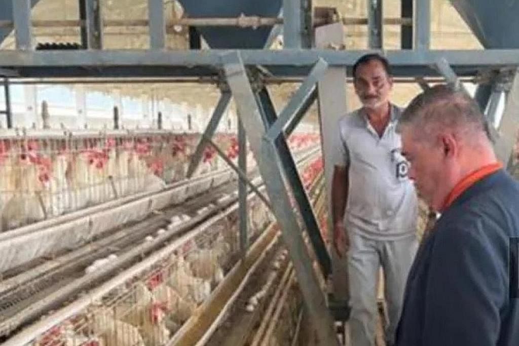 TINJAU LADANG TELUR: Encik Mohamad Sabu ketika meninjau ladang pengeluaran telur ayam di Namakkal, Tamil Nadu, baru-baru ini. - BH ONLINE