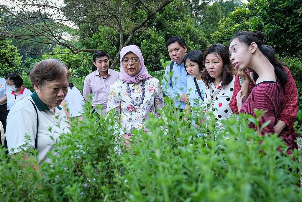 TAMAN INKLUSIF: Para tetamu diiringi Puan Halimah melawat Taman Inklusif, yang terdiri daripada lebih 100 jenis tanaman termasuk herba dan buah-buahan. Taman tersebut terletak berdekatan bangunan Sri Temasek di tapak Istana yang mempunyai kemudahan u